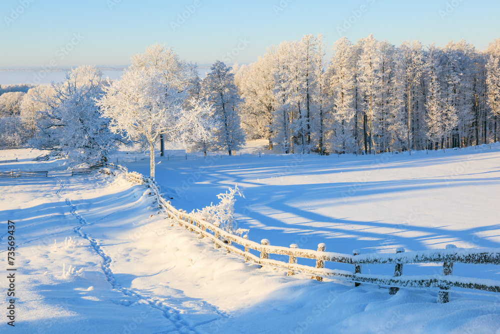 Obraz premium Countryside winter landscape