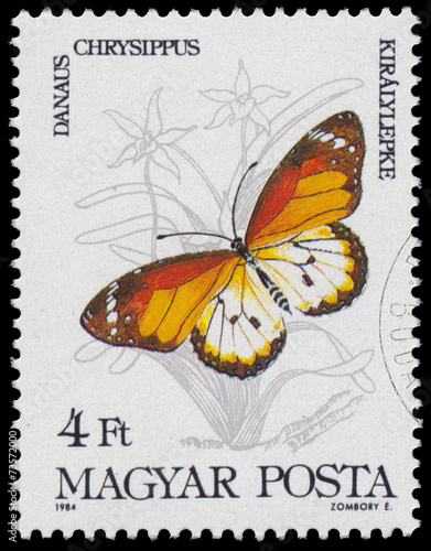Stamp printed in Hungary shows a butterfly