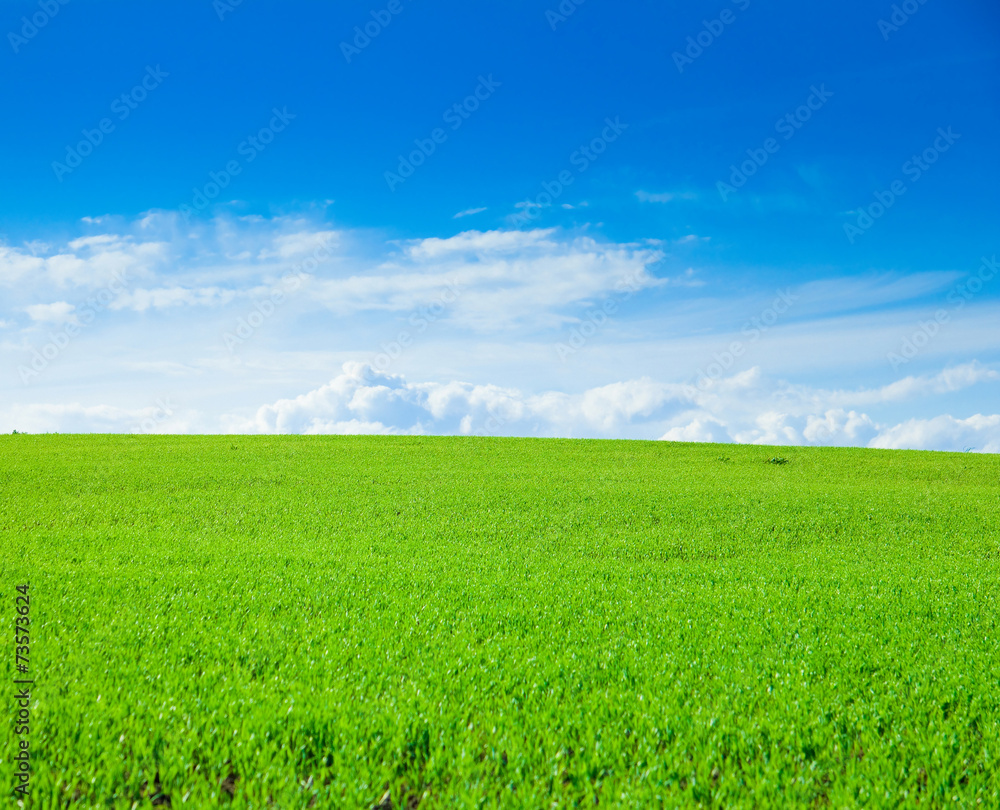 Country Outdoor Field