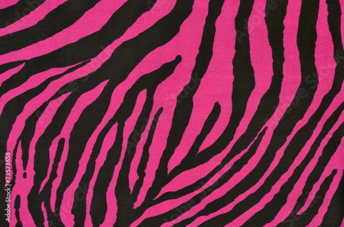Pink and black tiger pattern.Magenta animal print as background.