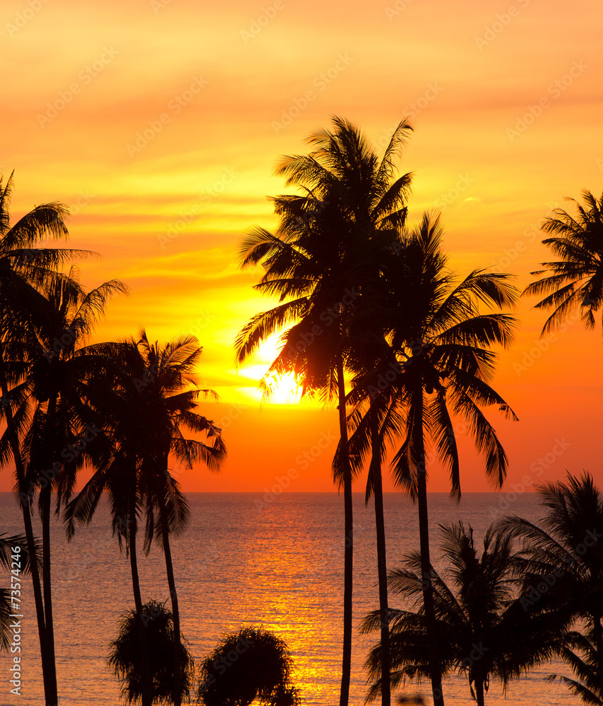 Obraz premium Fiery Backdrop Evening Scene