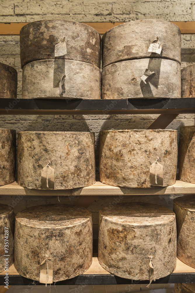 Whole cylindrical cheese truckles maturing on shelves Whole cylindrical cheese truckles maturing on shelves