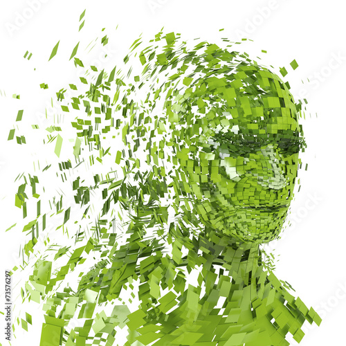 Green human head into pieces photo