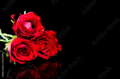 red roses  flower with reflection on black surface background
