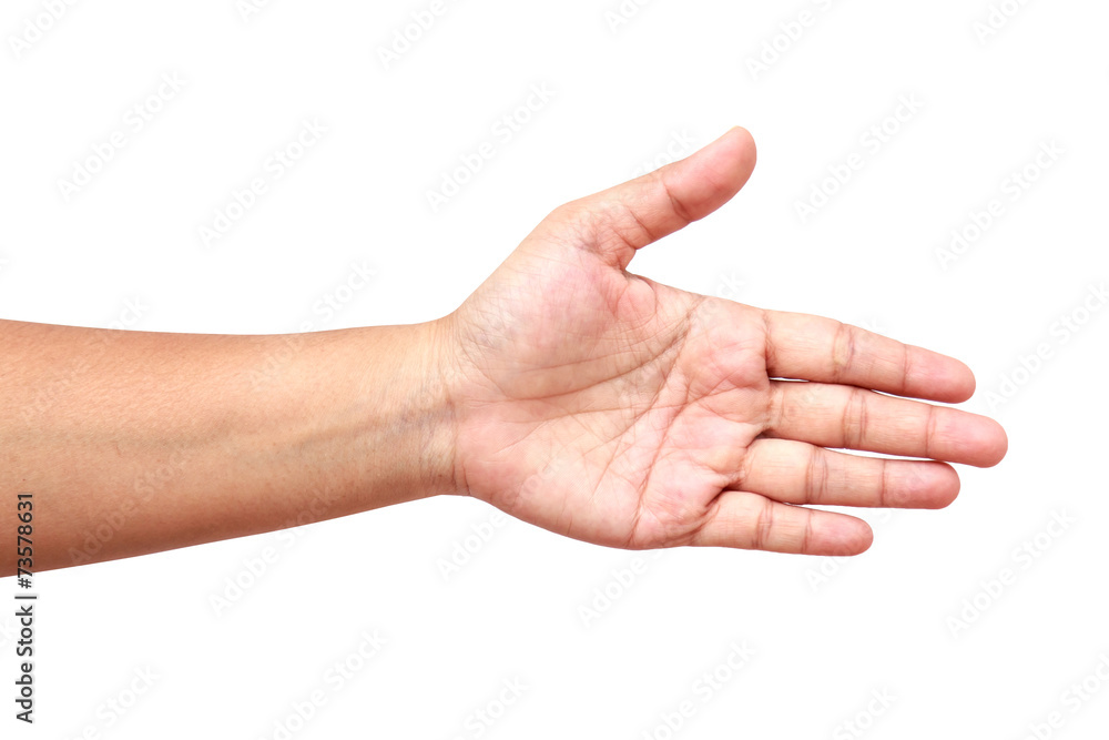 Hand of women isolated on white background Hand of women isolated on white background
