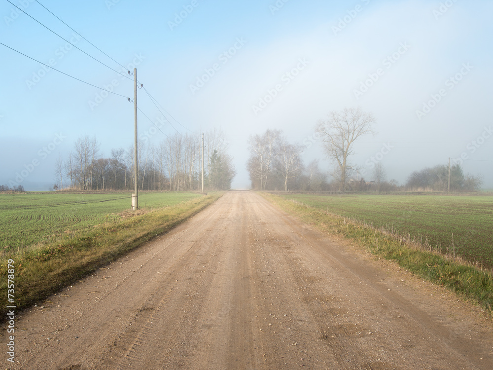 beautiful green meadow in heavy mist