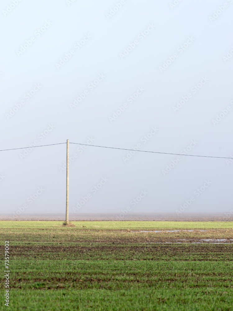 beautiful green meadow in heavy mist