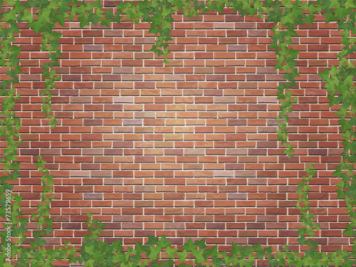 ivy winds on the red brick wall background