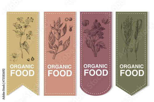 Label of set cereals buckwheat amaranth quinoa millet