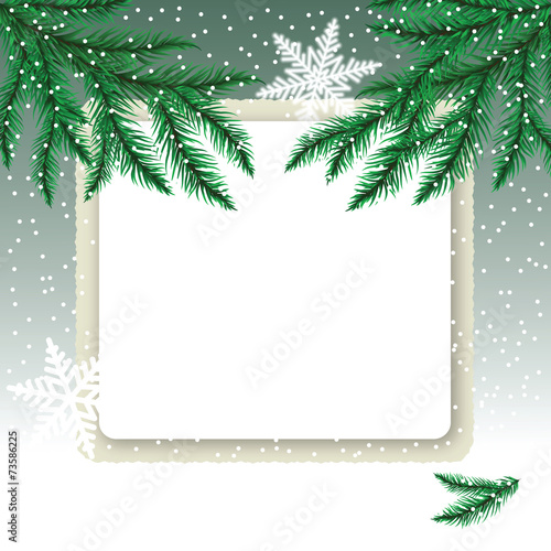 Frame on the snowdrift and fir tree branches.