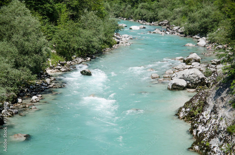 Obraz premium sotscha