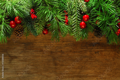Christmas tree branches background