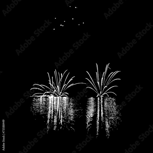 Fireworks with reflection on lake