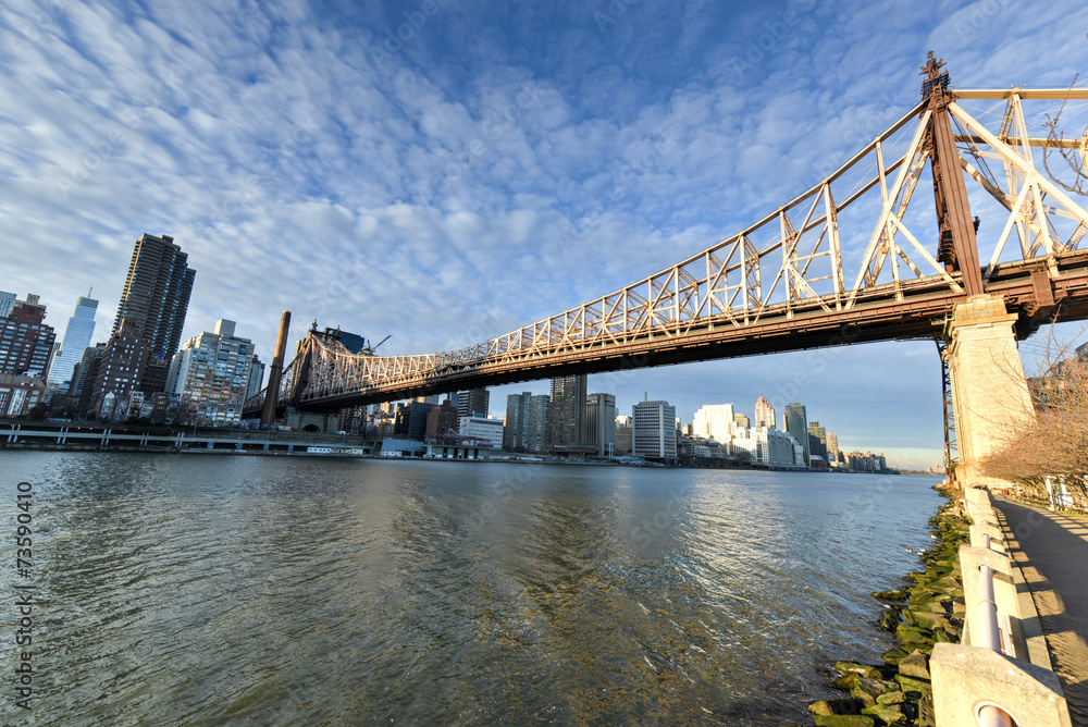 Obraz premium Roosevelt Island and Queensboro Bridge, Manhattan, New York