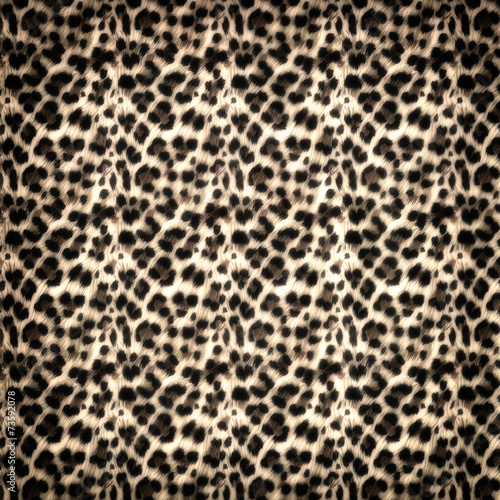 Leopard pattern background
