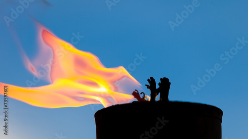 Canvas Print Movement of fire flame
