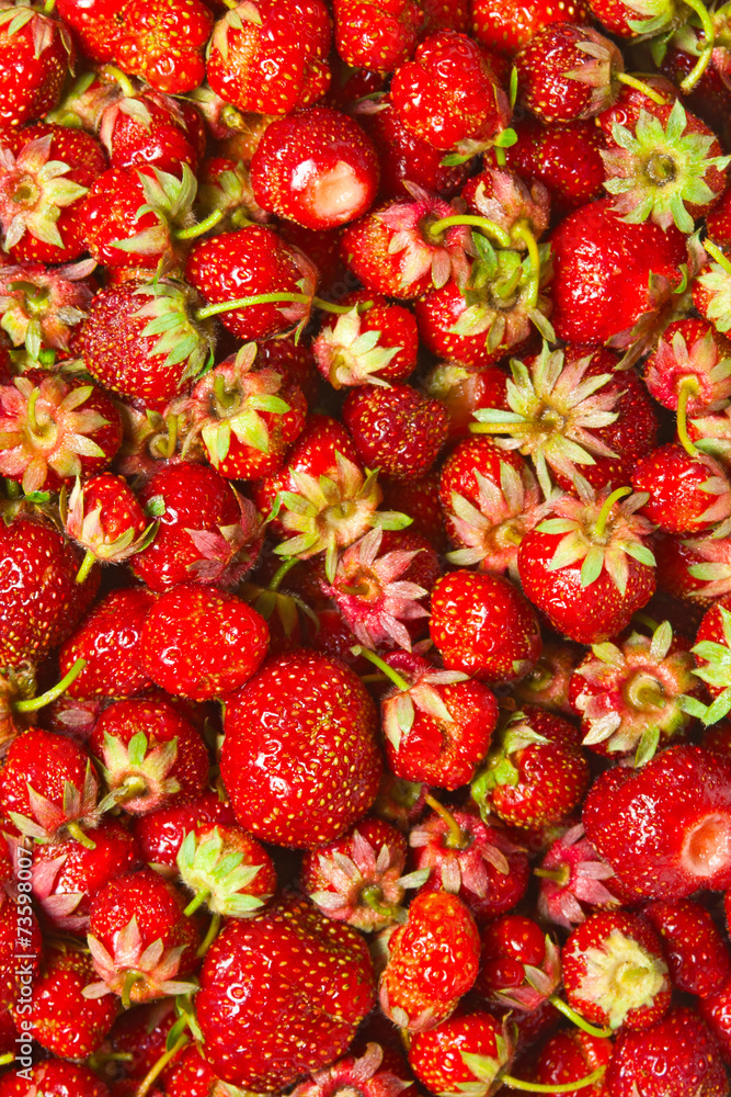 strawberry strawberry