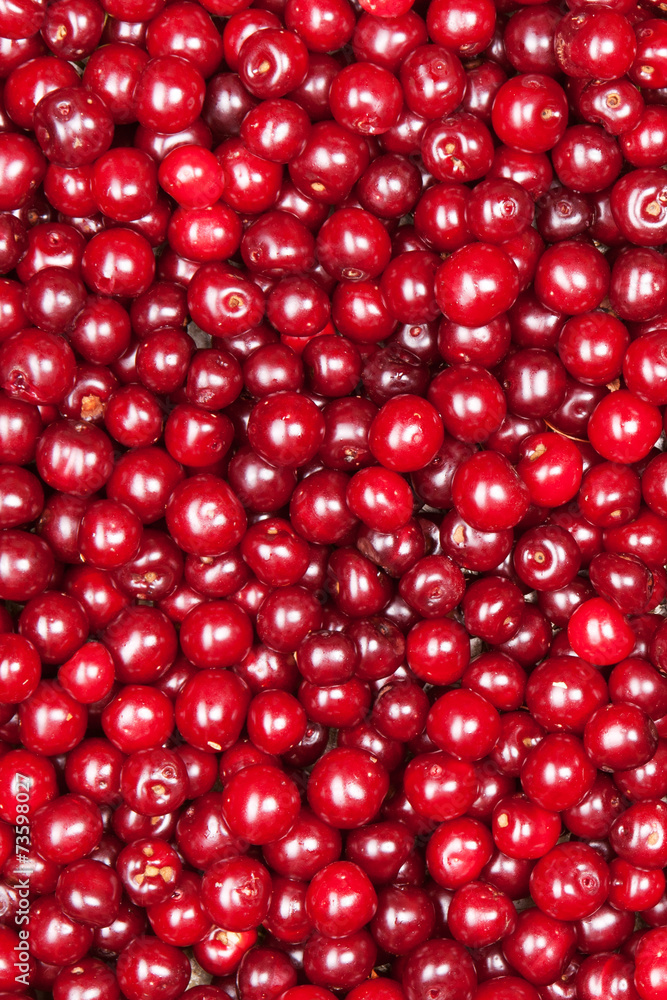 red cherry red cherry