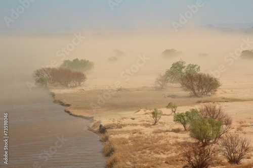 Severe sand storm with windblown trees