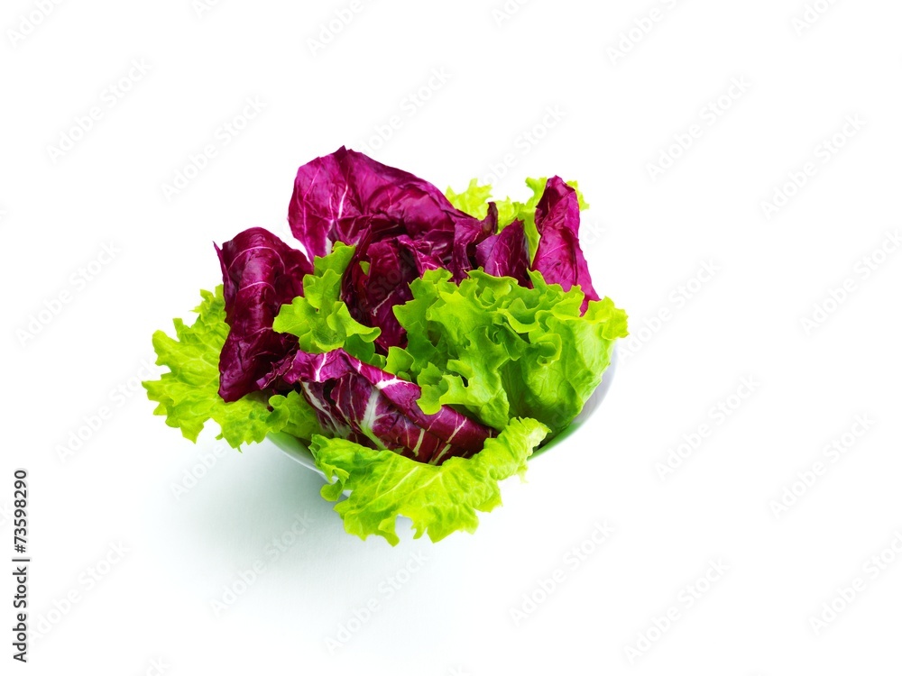 Obraz premium fresh green salad