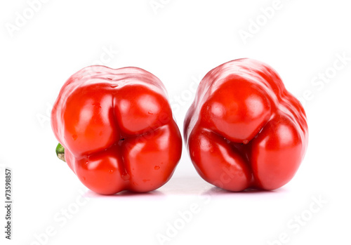 ripe red bell peppers © indigolotos