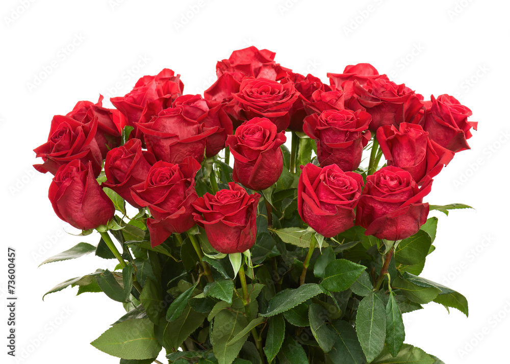 Fototapeta premium Colorful Flower Bouquet from Red Roses Isolated on White Backgro