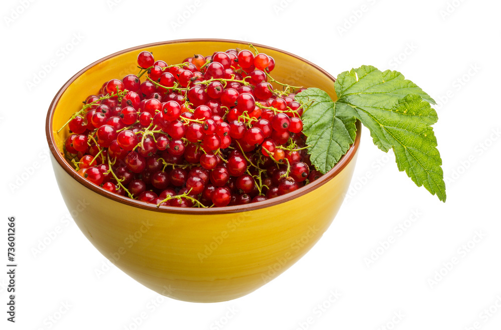 Red currant Red currant