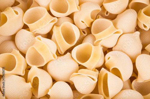 Close up of Italian pasta shells.