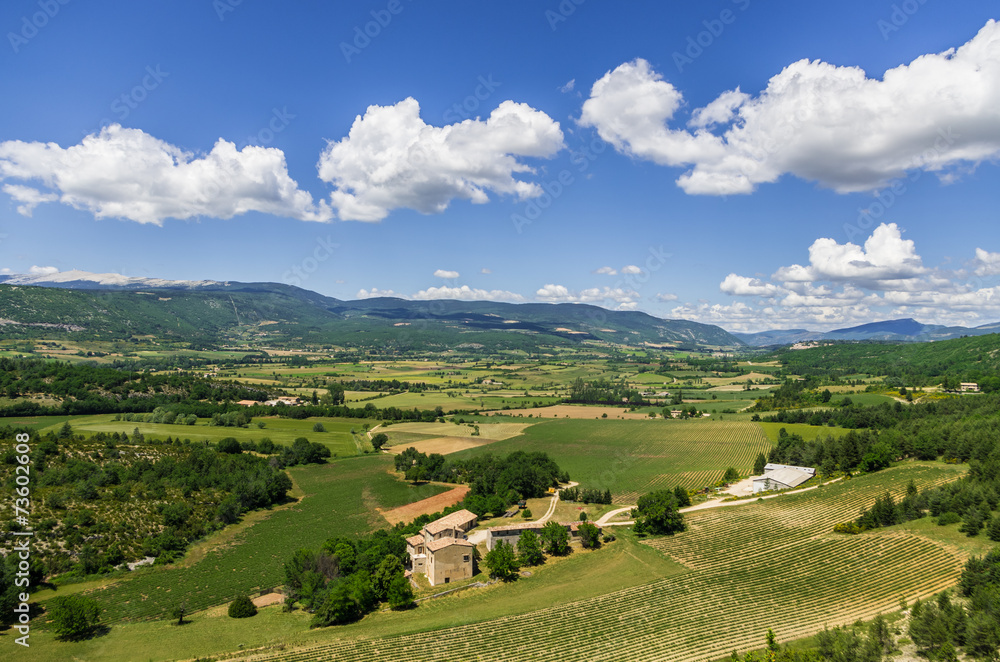 Rural landscape in Provence in France in summer.