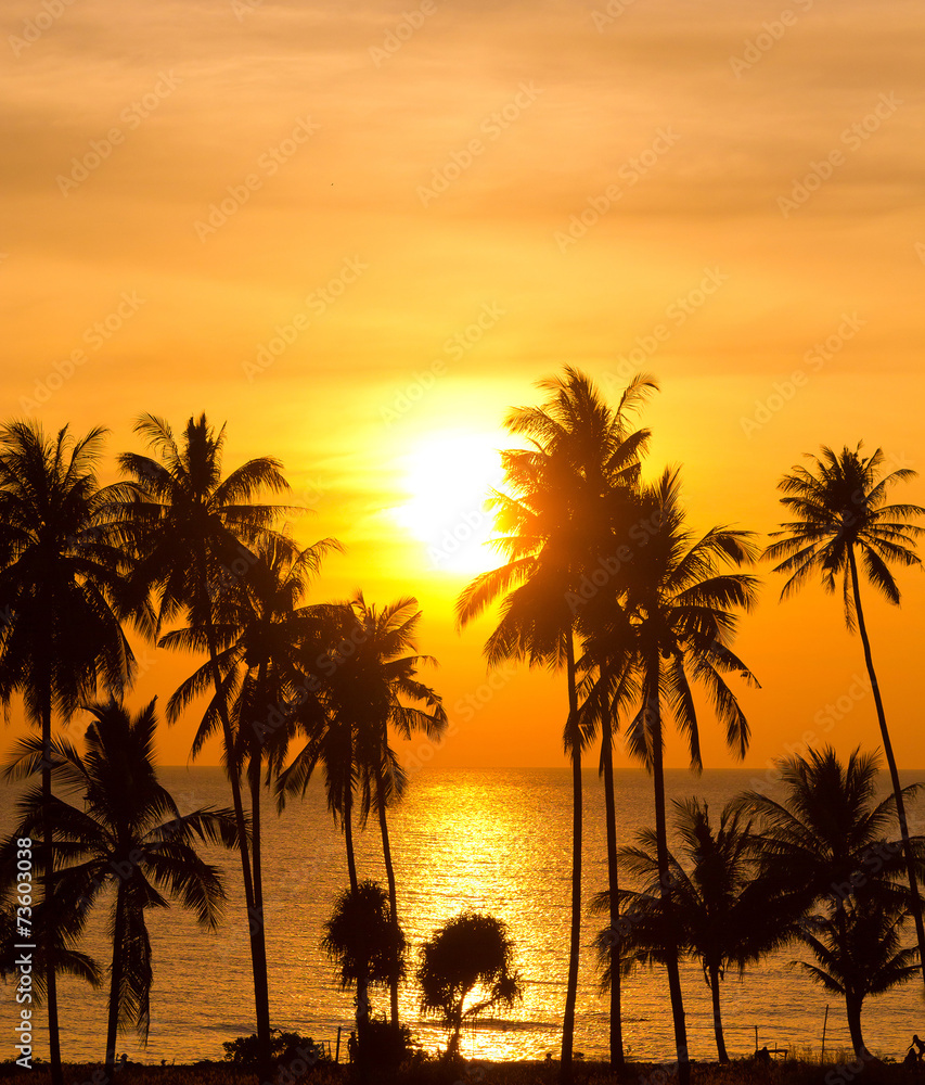 Palm Paradise Evening Scene