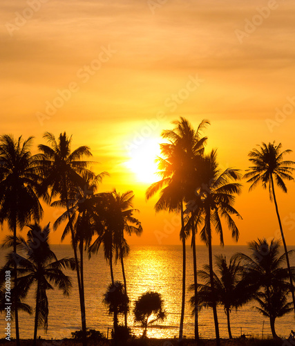 Palm Paradise Evening Scene