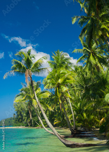 Exotic Paradise Idyllic Island