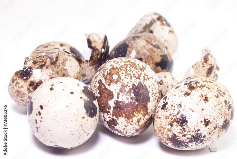 Obraz premium яйцо.