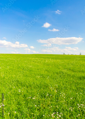 Grass Field Landscape