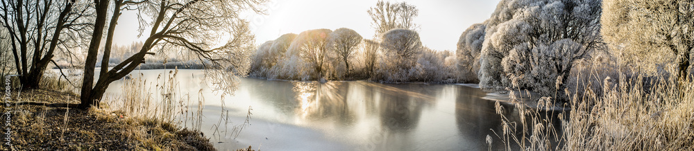 Panorama of the frozen lake and snow-covered trees - obrazy, fototapety, plakaty 