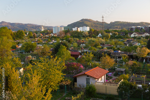 Freiburg  Schwarzwald  Kleingarten 