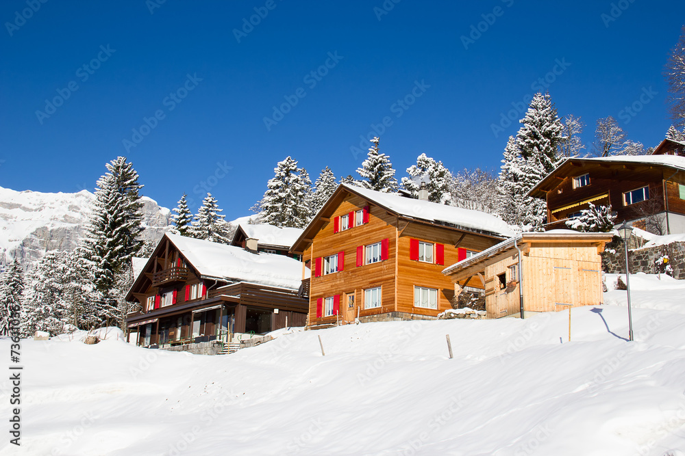 Winter in alps