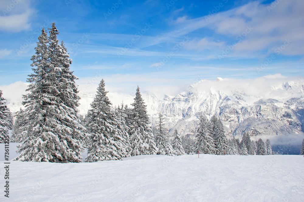 Skiing slope