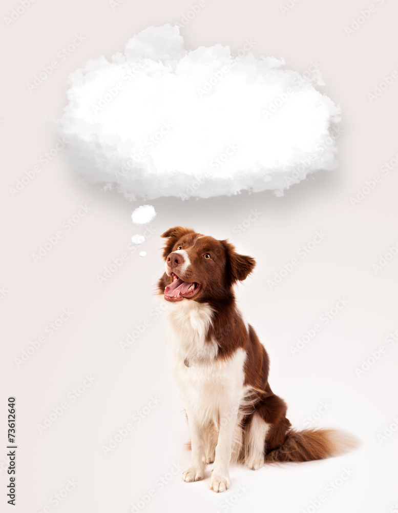 Cute dog with empty cloud bubble