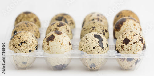 Quail eggs on egg box, side view, focus on front