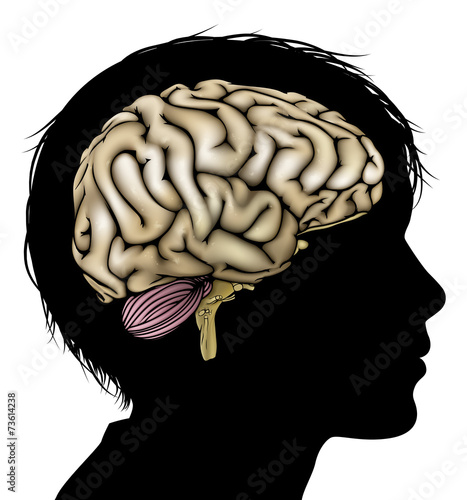 Brain development concept