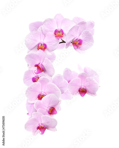 letter F from orchid flowers