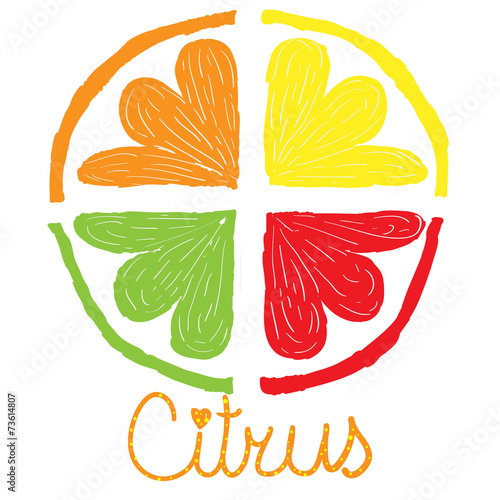 Citrus Hand Drawing Lime Lemon Orange Grapefruit
