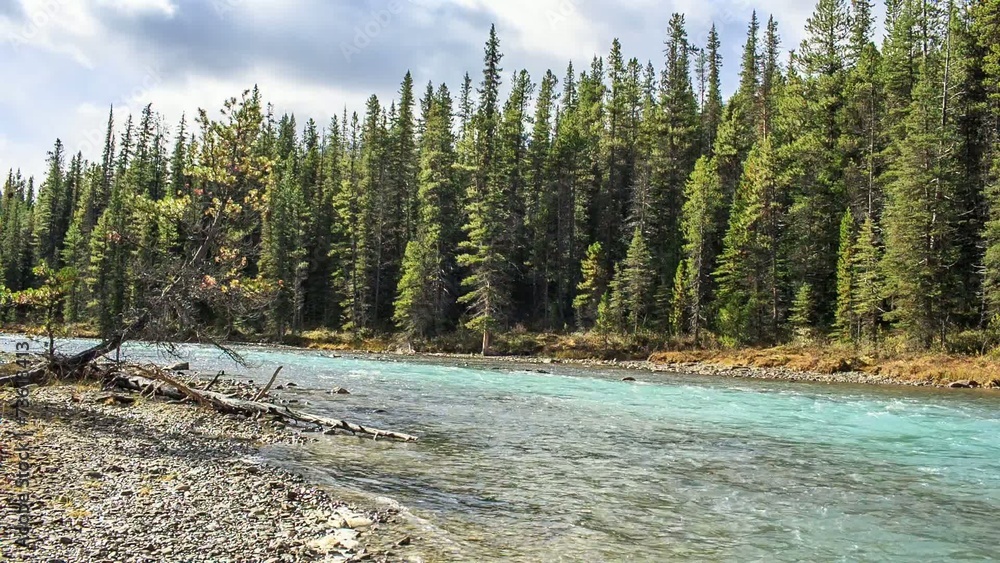 The Bow river along Icefield road. Bow lake outlet. The Bow river along Icefield road. Bow lake outlet.