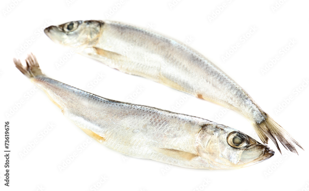 Fresh fish isolated on white