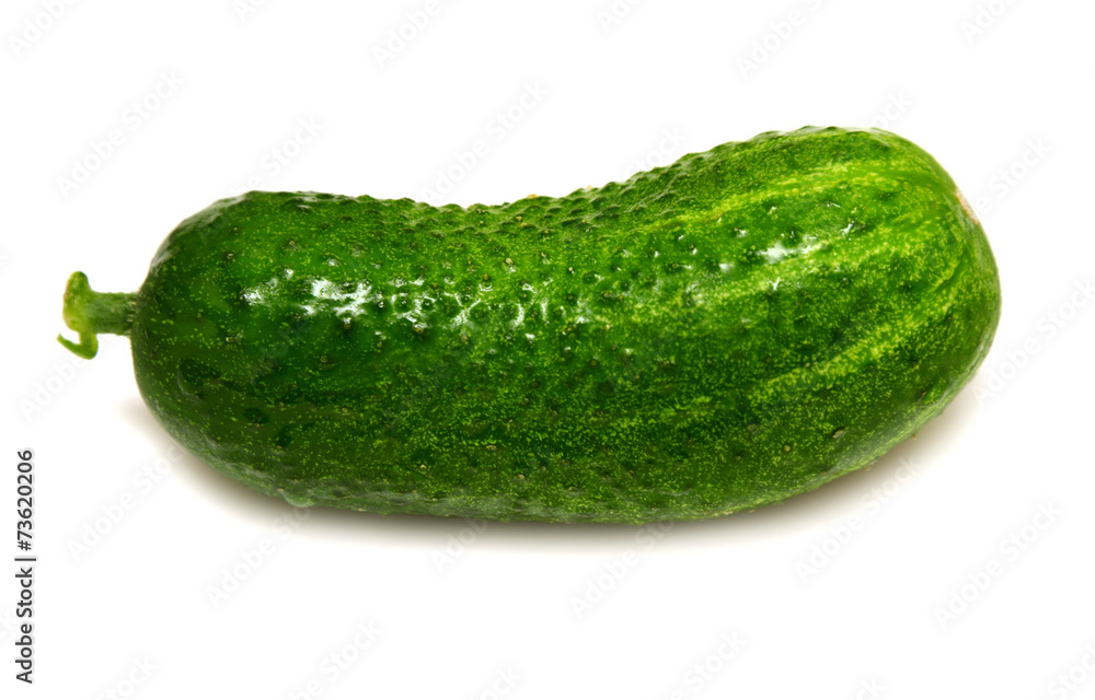 Ripe cucumber Ripe cucumber