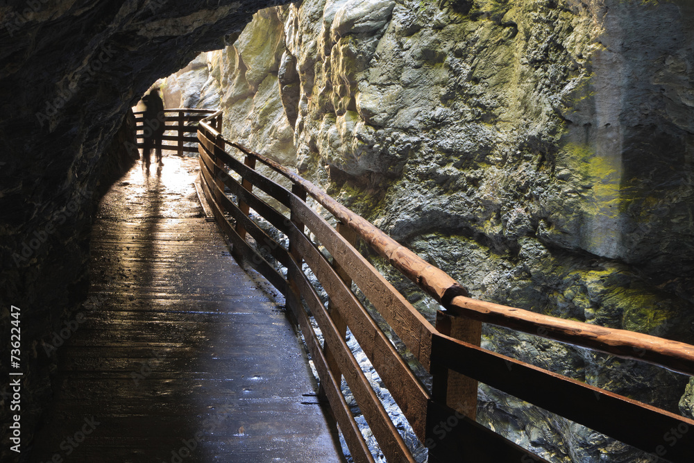 Obraz premium Boardwalk in the Lichtensteinklamm gorge