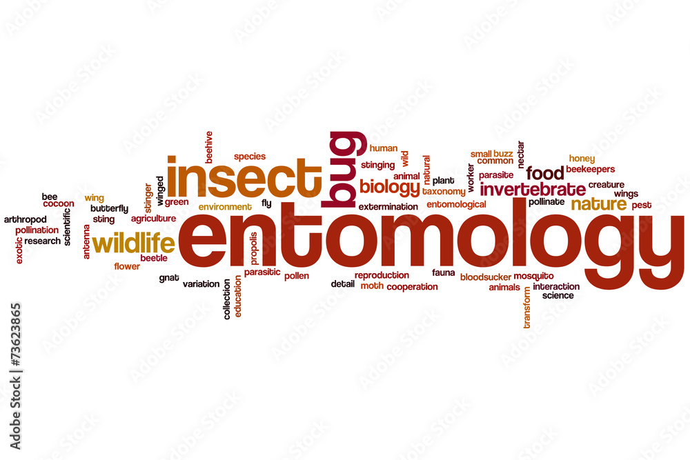 Entomology word cloud