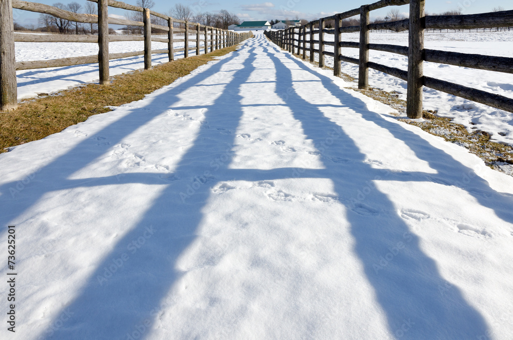 Fototapeta premium Farm in winter