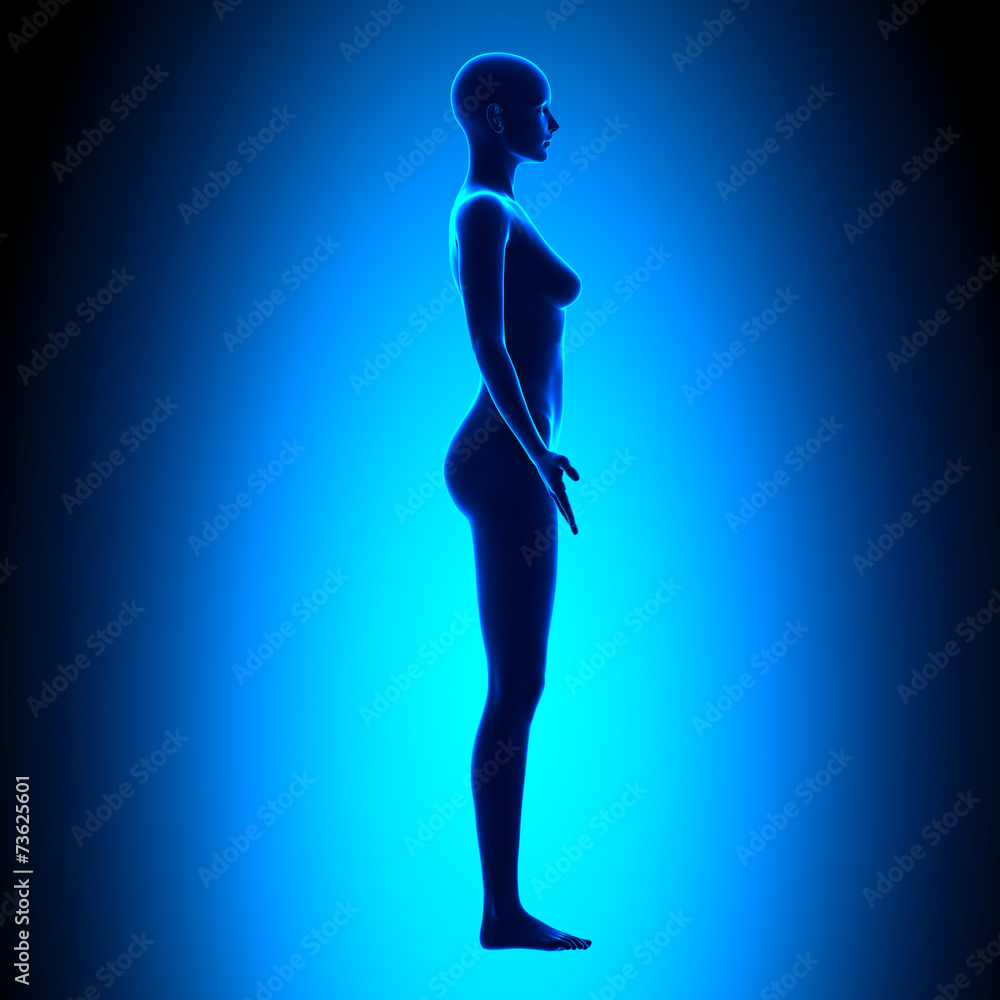 Full Female Body - Side View - Blue concept